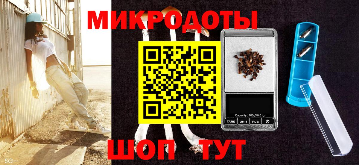 Псилоцибиновые грибы мухоморы  Псилоцибиновые грибы GOLDEN TEACHER  Вход с VPN  Каменка 