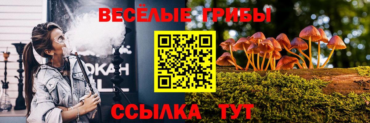 Псилоцибиновые грибы Psilocybine cubensis Каменка